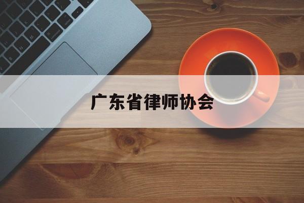 广东省律师协会(广东省律师协会会长)